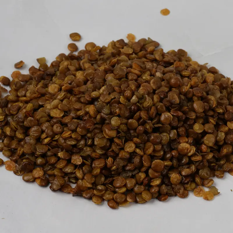 Lenteja tostada - Imagen 3