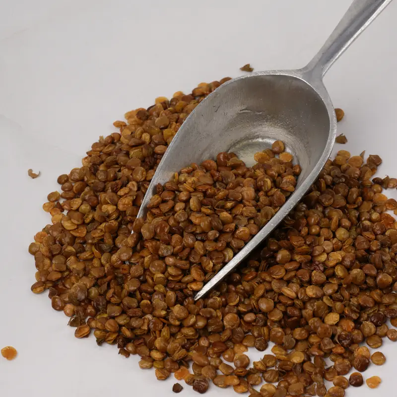 Lenteja tostada - Imagen 2