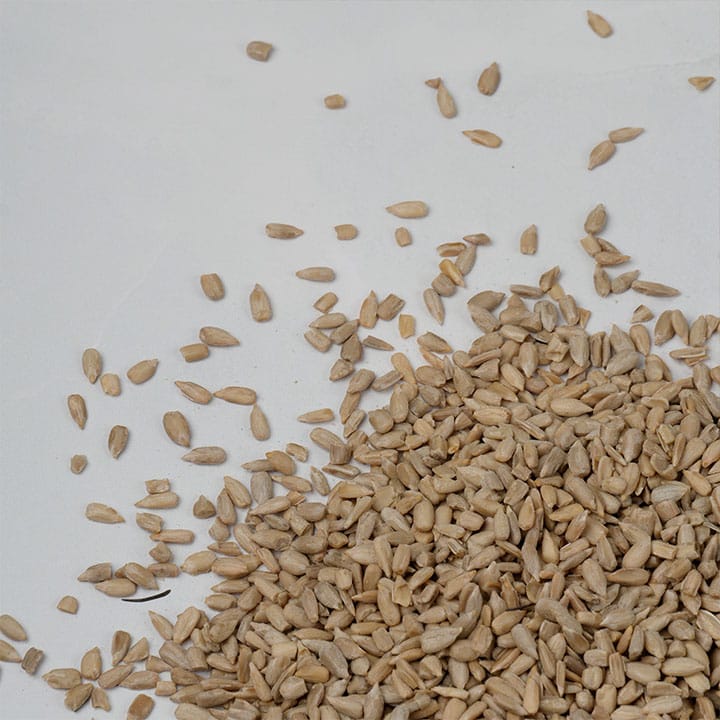 Semillas de Girasol - Imagen 3