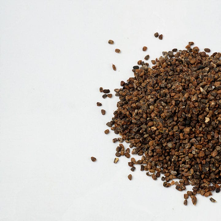 Cardamomo (semilla) - Imagen 3