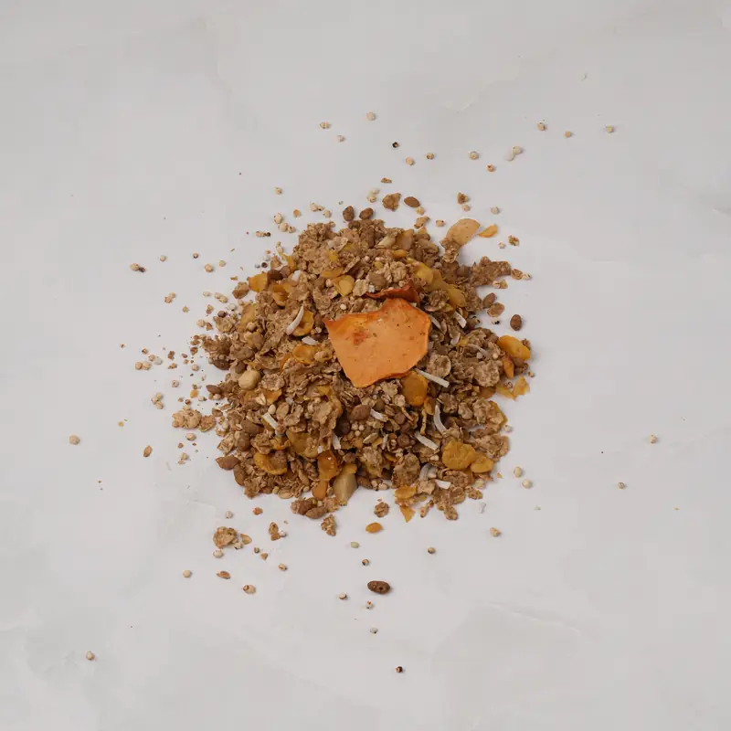 Granola tropical
