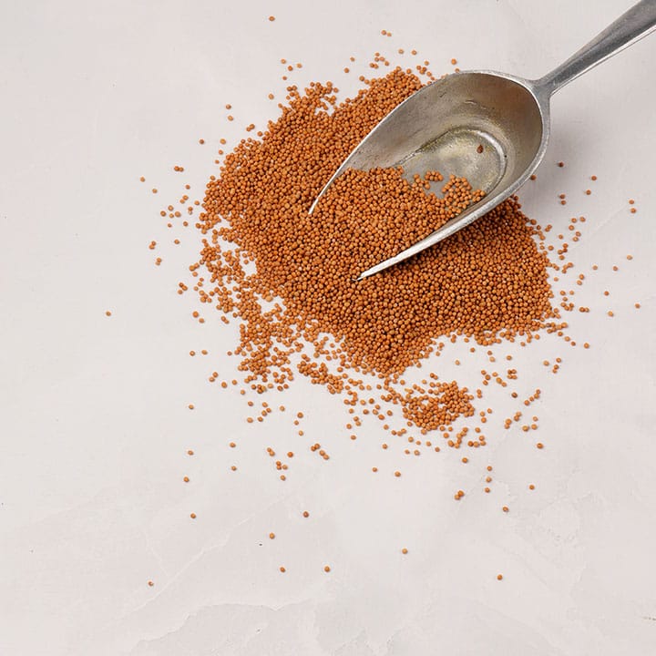 Mostaza (semilla) - Imagen 2